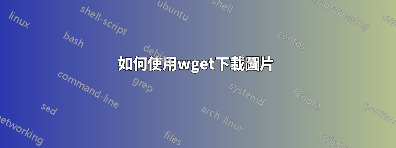 如何使用wget下載圖片