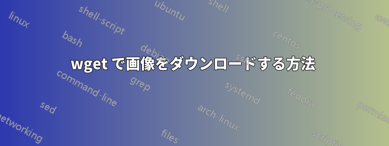 wget で画像をダウンロードする方法