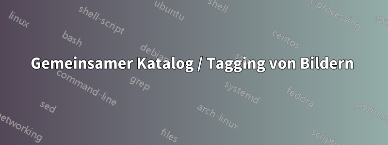 Gemeinsamer Katalog / Tagging von Bildern