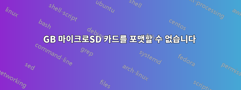 32GB 마이크로SD 카드를 포맷할 수 없습니다