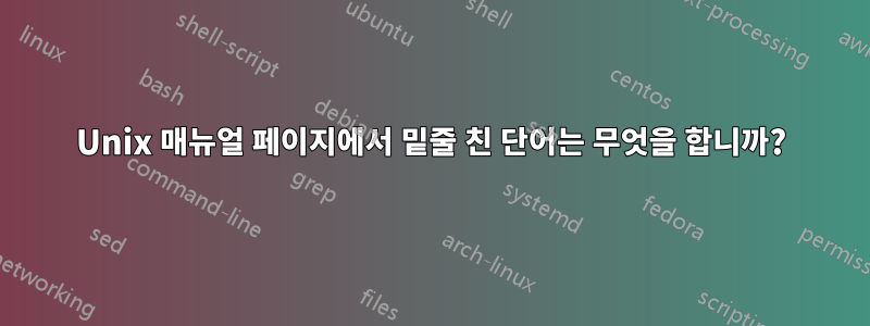 Unix 매뉴얼 페이지에서 밑줄 친 단어는 무엇을 합니까?