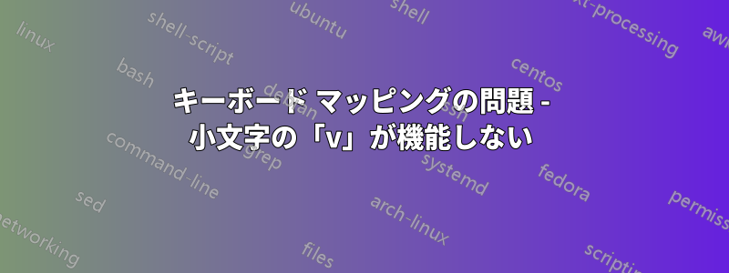 キーボード マッピングの問題 - 小文字の「v」が機能しない