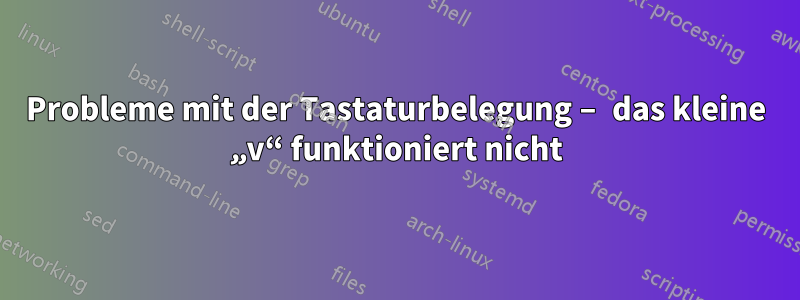 Probleme mit der Tastaturbelegung – das kleine „v“ funktioniert nicht