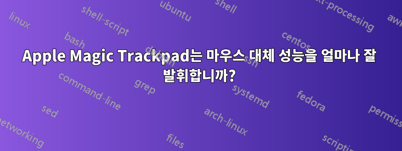 Apple Magic Trackpad는 마우스 대체 성능을 얼마나 잘 발휘합니까?