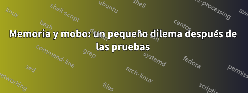 Memoria y mobo: un pequeño dilema después de las pruebas