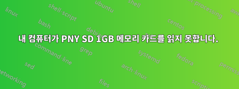 내 컴퓨터가 PNY SD 1GB 메모리 카드를 읽지 못합니다.