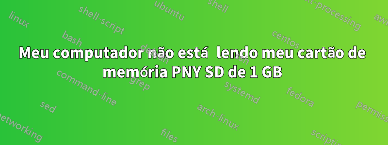 Meu computador não está lendo meu cartão de memória PNY SD de 1 GB