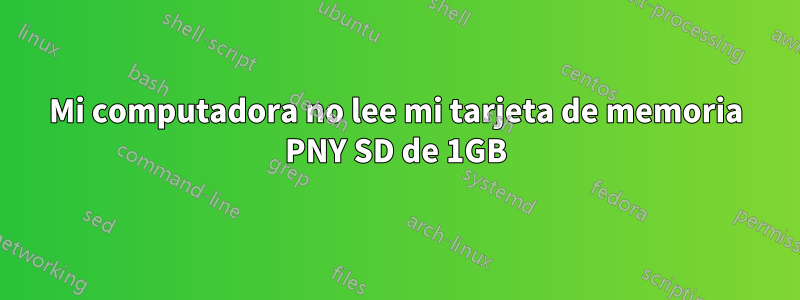 Mi computadora no lee mi tarjeta de memoria PNY SD de 1GB