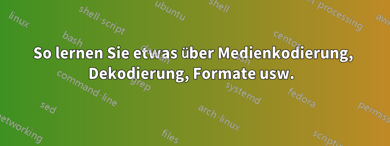 So lernen Sie etwas über Medienkodierung, Dekodierung, Formate usw. 