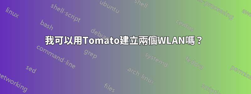 我可以用Tomato建立兩個WLAN嗎？