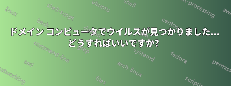 ドメイン コンピュータでウイルスが見つかりました... どうすればいいですか? 