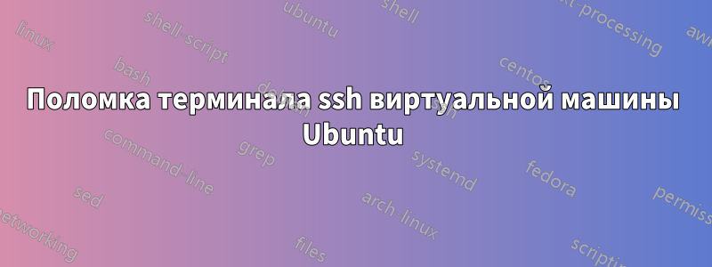 Поломка терминала ssh виртуальной машины Ubuntu