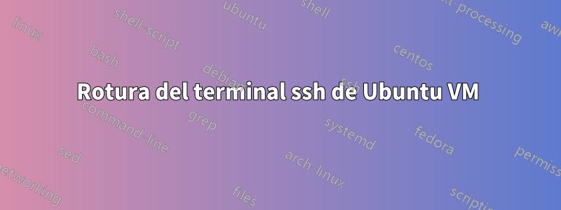 Rotura del terminal ssh de Ubuntu VM