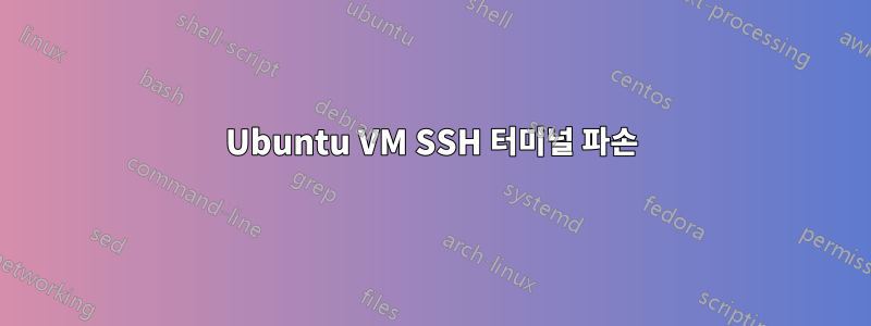 Ubuntu VM SSH 터미널 파손