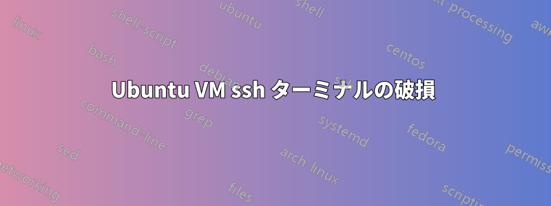 Ubuntu VM ssh ターミナルの破損