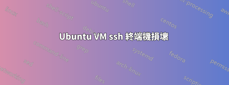 Ubuntu VM ssh 終端機損壞