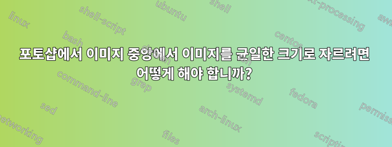 포토샵에서 이미지 중앙에서 이미지를 균일한 크기로 자르려면 어떻게 해야 합니까?