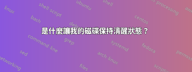 是什麼讓我的磁碟保持清醒狀態？