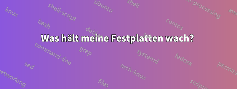 Was hält meine Festplatten wach?