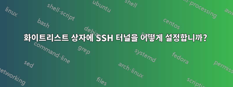 화이트리스트 상자에 SSH 터널을 어떻게 설정합니까?