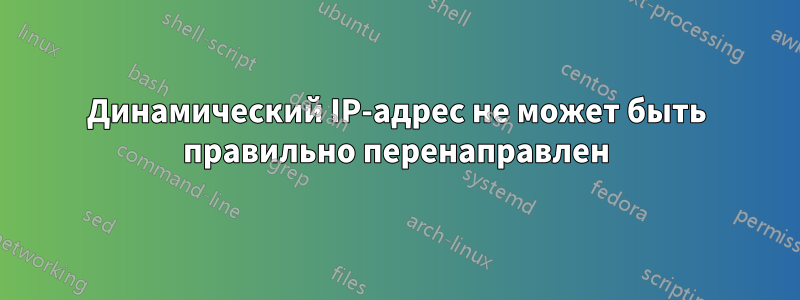 Динамический IP-адрес не может быть правильно перенаправлен