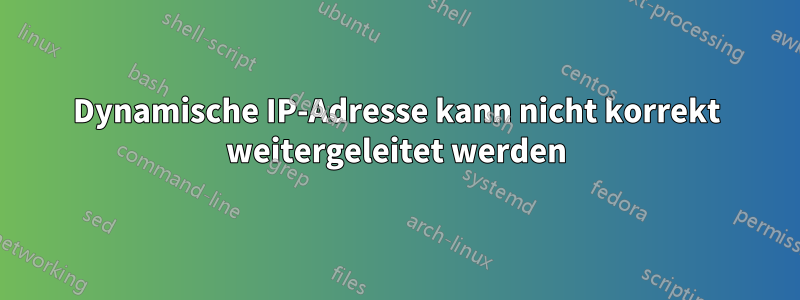 Dynamische IP-Adresse kann nicht korrekt weitergeleitet werden