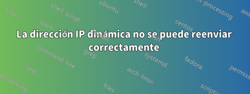 La dirección IP dinámica no se puede reenviar correctamente