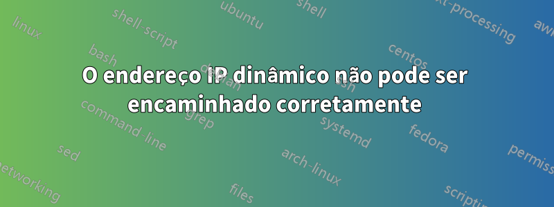 O endereço IP dinâmico não pode ser encaminhado corretamente