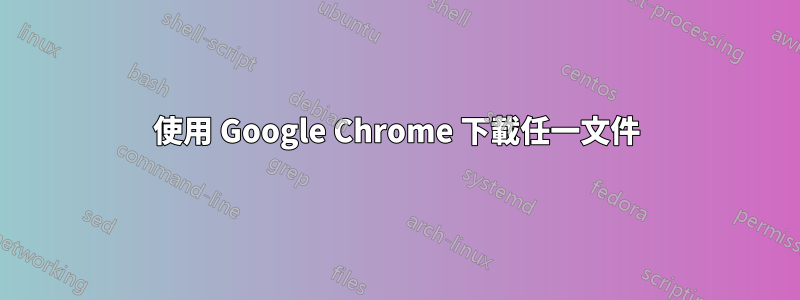 使用 Google Chrome 下載任一文件