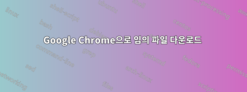 Google Chrome으로 임의 파일 다운로드