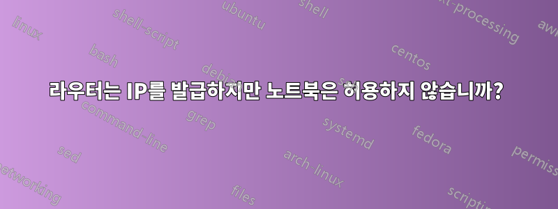 라우터는 IP를 발급하지만 노트북은 허용하지 않습니까?