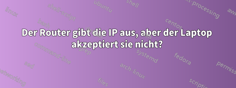 Der Router gibt die IP aus, aber der Laptop akzeptiert sie nicht?