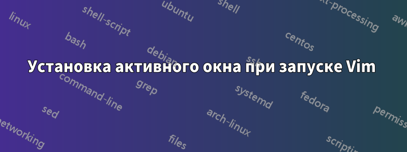 Установка активного окна при запуске Vim