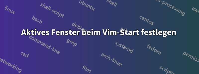 Aktives Fenster beim Vim-Start festlegen