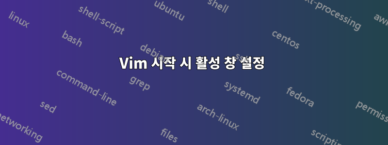 Vim 시작 시 활성 창 설정