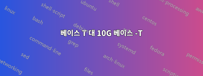 100 베이스 T 대 10G 베이스 -T