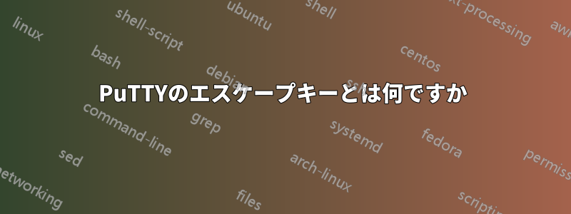 PuTTYのエスケープキーとは何ですか