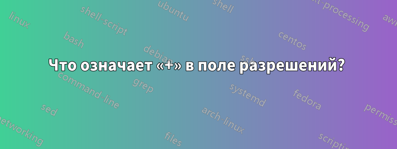 Что означает «+» в поле разрешений?