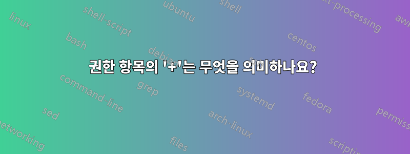 권한 항목의 '+'는 무엇을 의미하나요?
