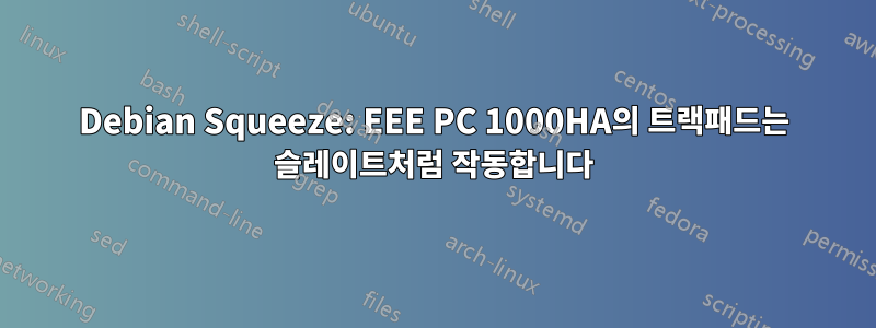Debian Squeeze: EEE PC 1000HA의 트랙패드는 슬레이트처럼 작동합니다