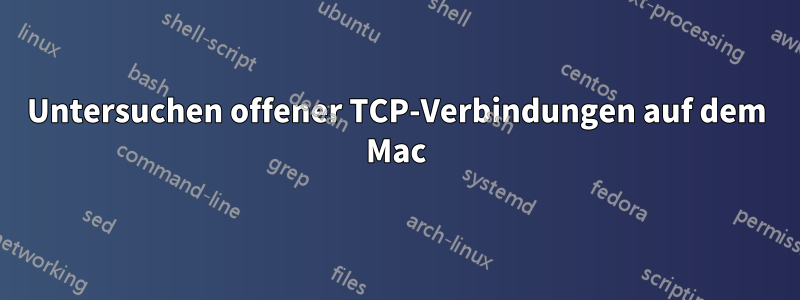 Untersuchen offener TCP-Verbindungen auf dem Mac