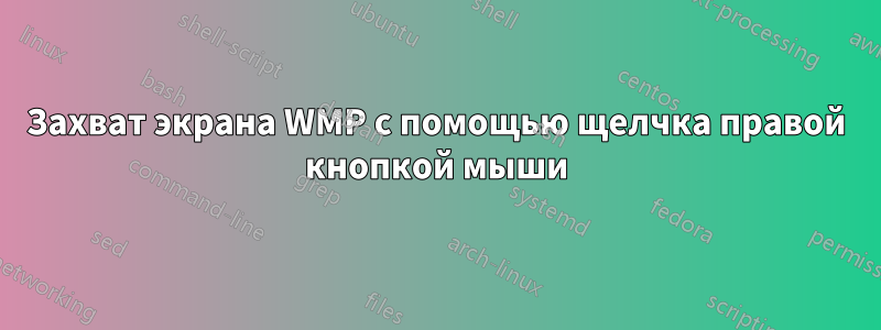 Захват экрана WMP с помощью щелчка правой кнопкой мыши