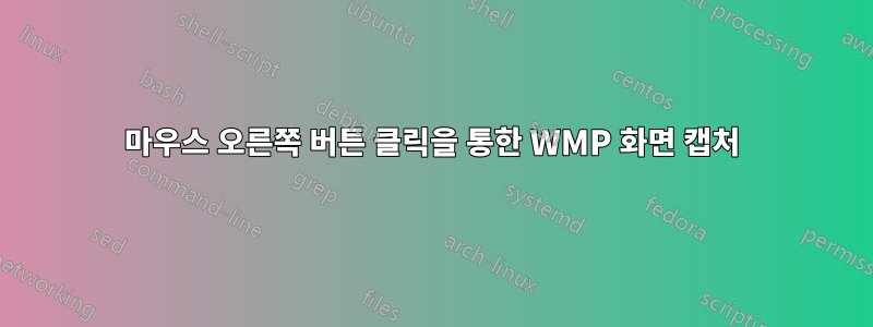 마우스 오른쪽 버튼 클릭을 통한 WMP 화면 캡처