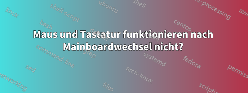 Maus und Tastatur funktionieren nach Mainboardwechsel nicht?