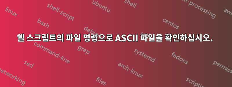 쉘 스크립트의 파일 명령으로 ASCII 파일을 확인하십시오.