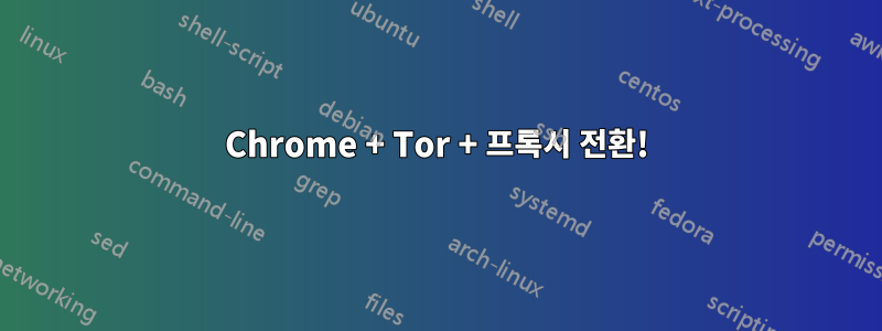 Chrome + Tor + 프록시 전환!