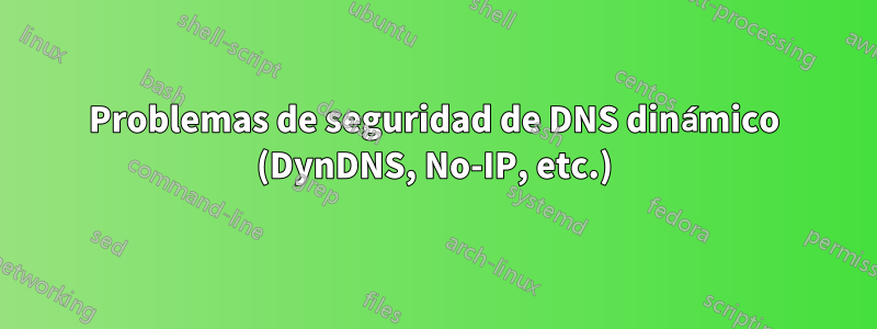 Problemas de seguridad de DNS dinámico (DynDNS, No-IP, etc.)