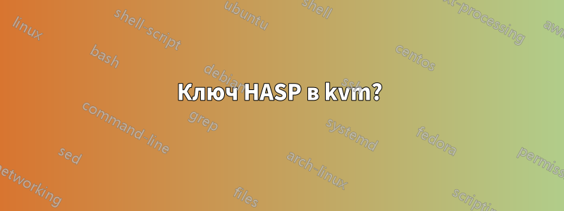 Ключ HASP в kvm?