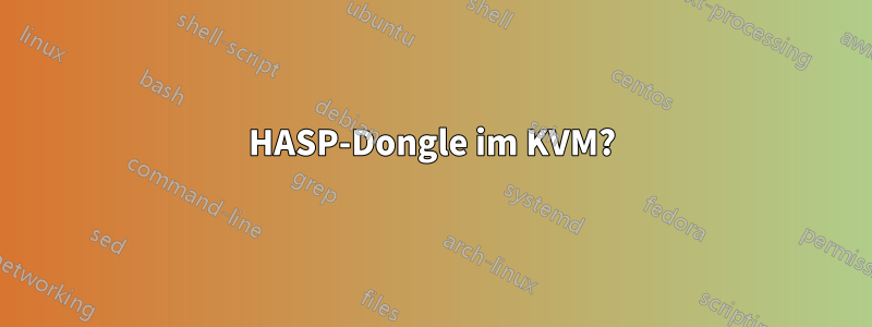 HASP-Dongle im KVM?