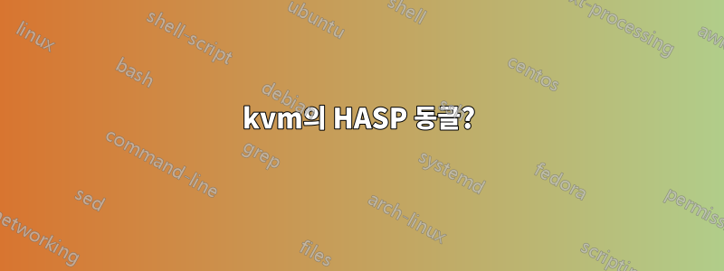 kvm의 HASP 동글?